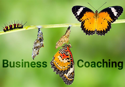 Business-coaching